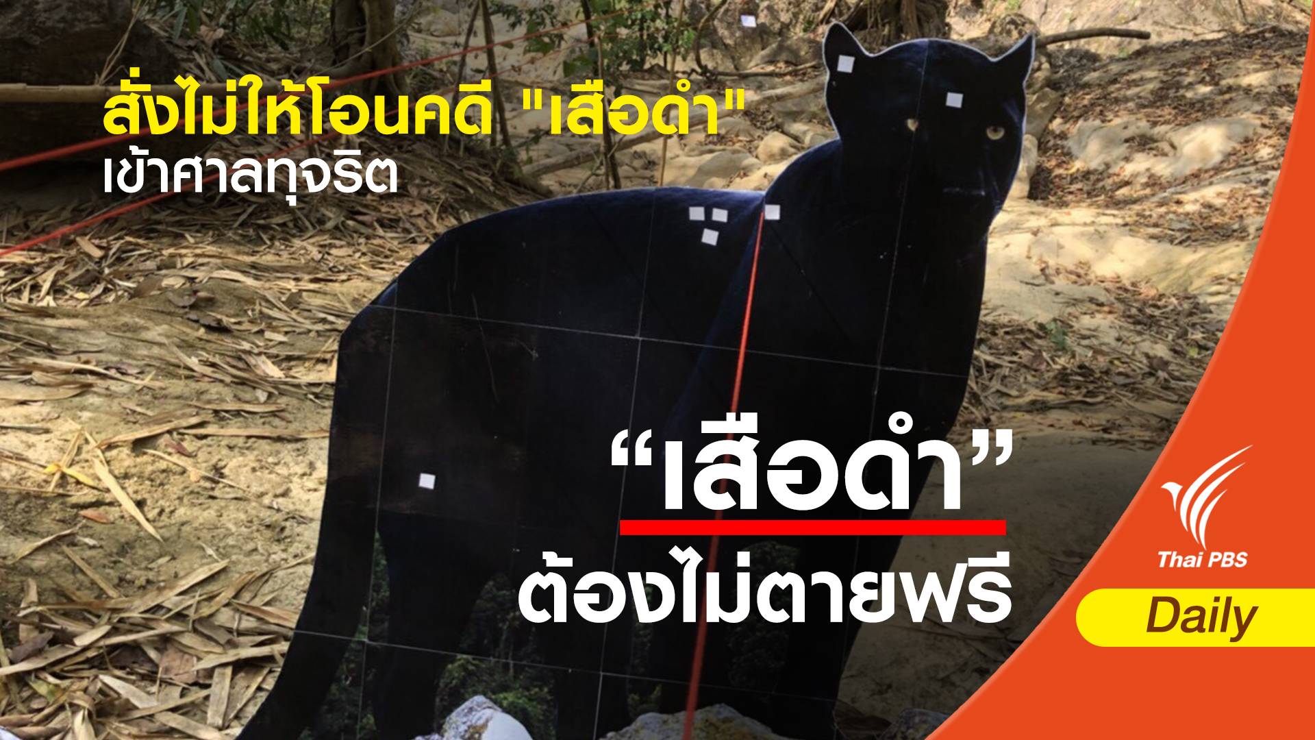 ศาลสั่งไม่ให้โอนคดี "เสือดำ" เข้าศาลทุจริต