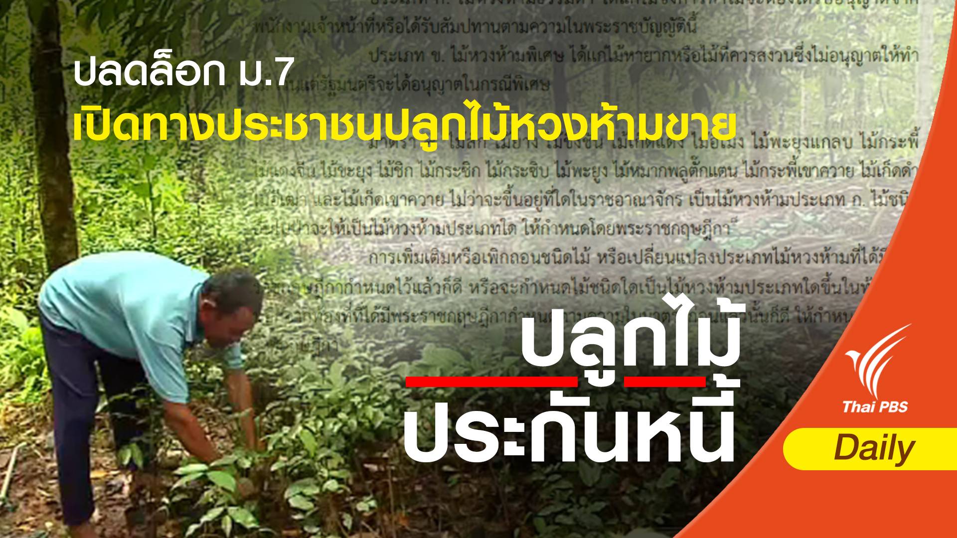 ปลดล็อก ม.7 เปิดทางประชาชนปลูกไม้หวงห้ามขาย