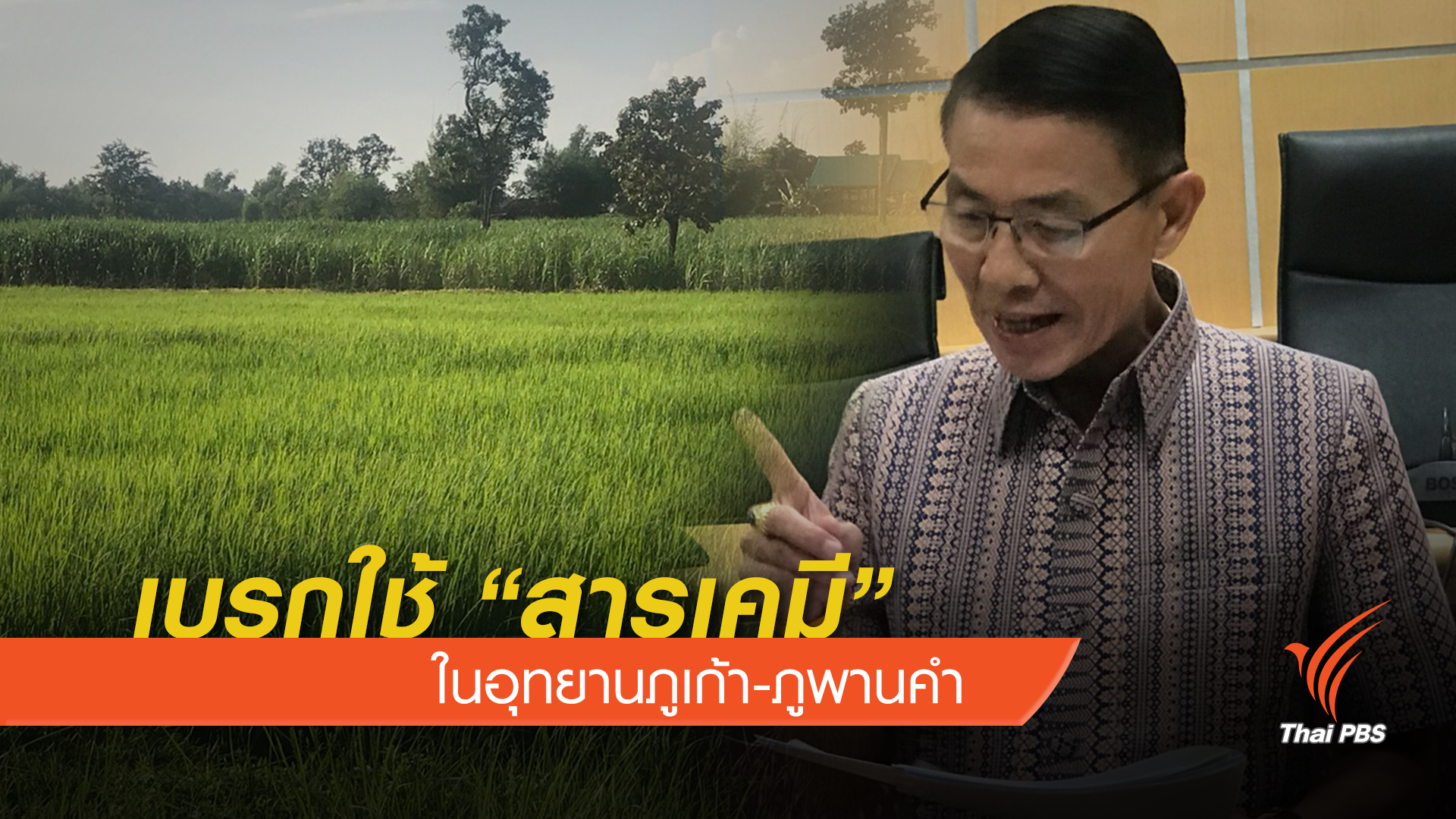 ผู้ว่าฯหนองบัวลำภู เบรกใช้สารเคมีเขตอุทยานภูเก้า-ภูพานคำ