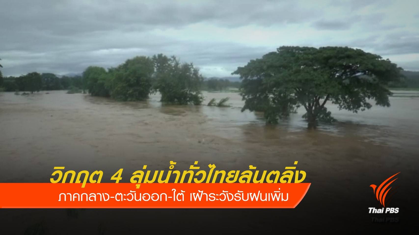 วิกฤต 4 ลุ่มน้ำทั่วไทยล้นตลิ่ง 7 พื้นที่ เฝ้าระวังรับฝนเพิ่ม
