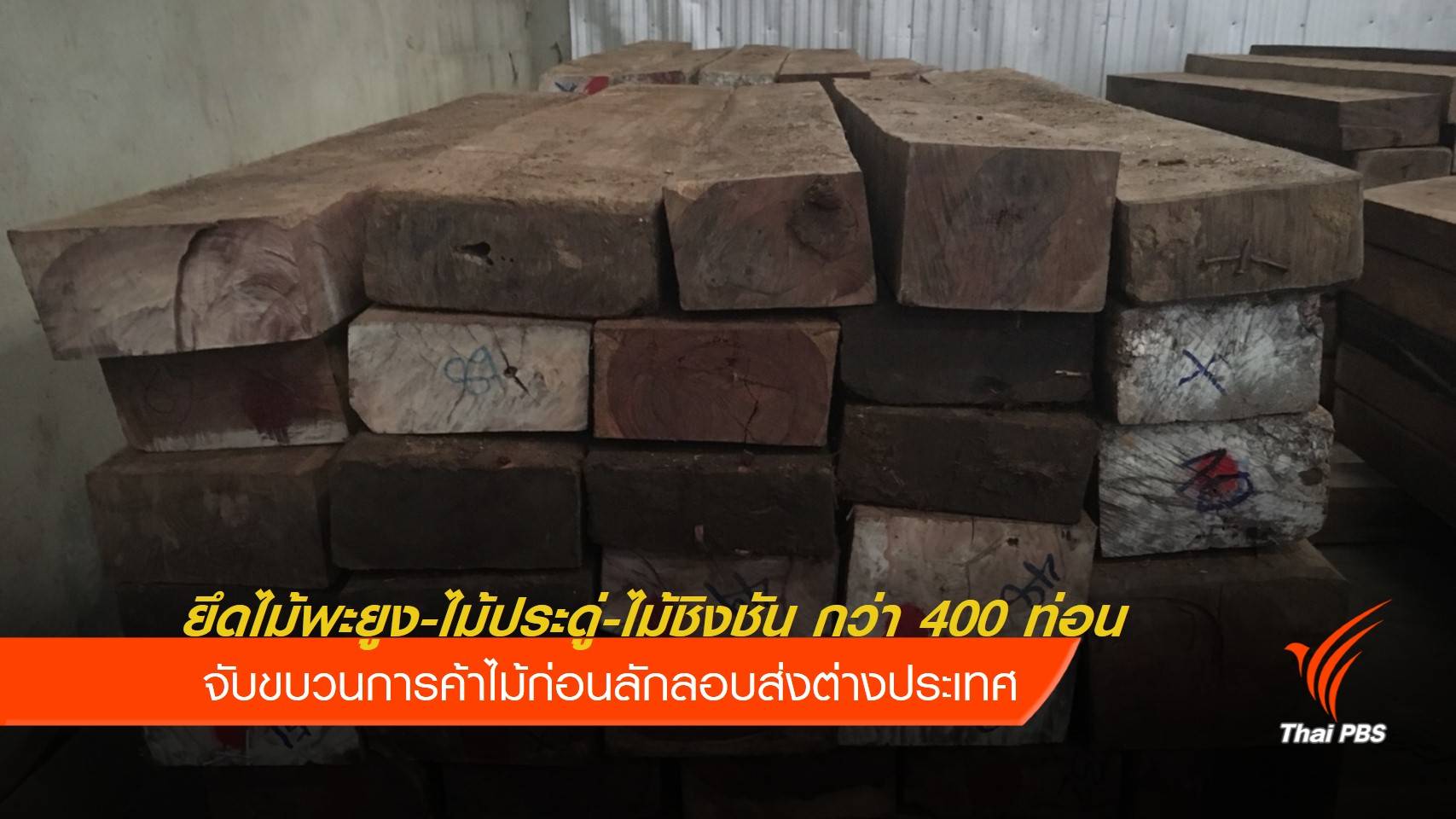 จับขบวนการค้าไม้ข้ามชาติ ยึดไม้หวงห้ามกว่า 400 ท่อน