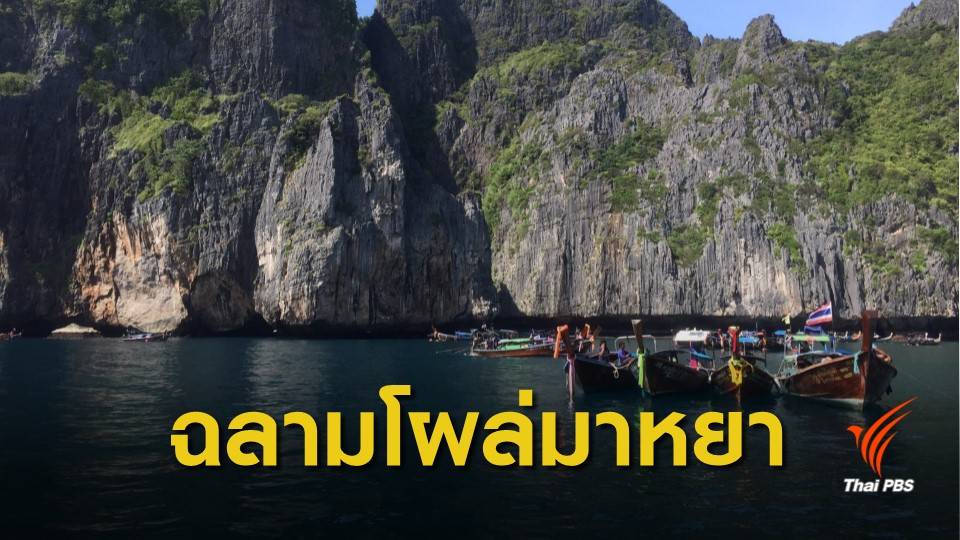 ข่าวดี! ปิด "อ่าวมาหยา" 4 เดือน ฉลามหูดำโผล่-ปะการังฟื้นตัว