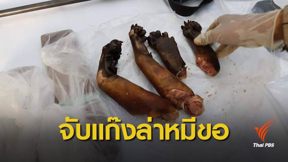 จับแก๊งออฟโรด "ล่าหมีขอ" เขตอุทยานไทรโยค