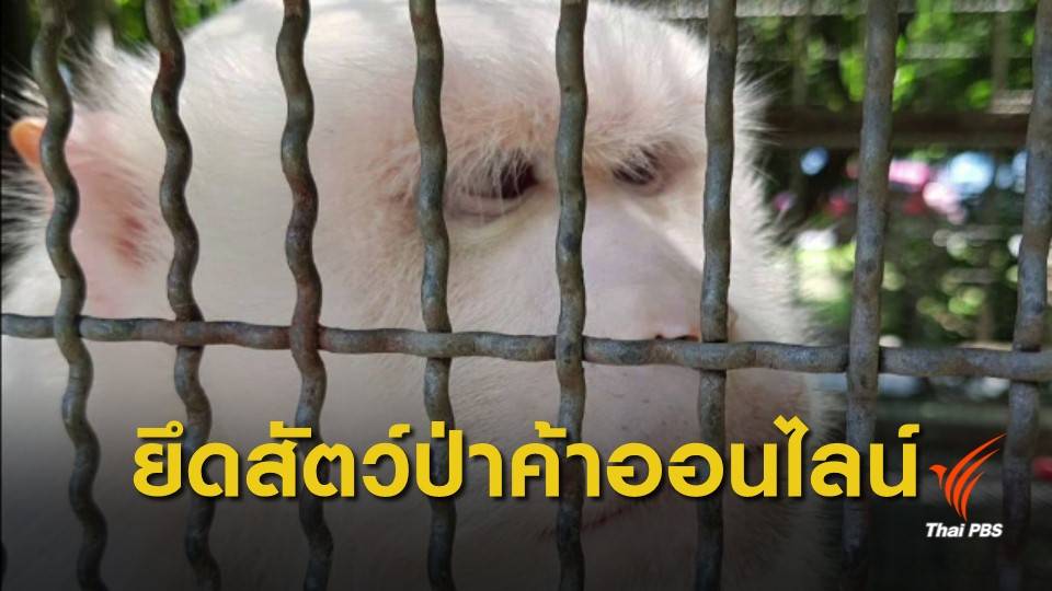 "ชุดเหยี่ยวดง" บุกยึดสัตว์ป่าคุ้มครองกว่า 20 ตัว