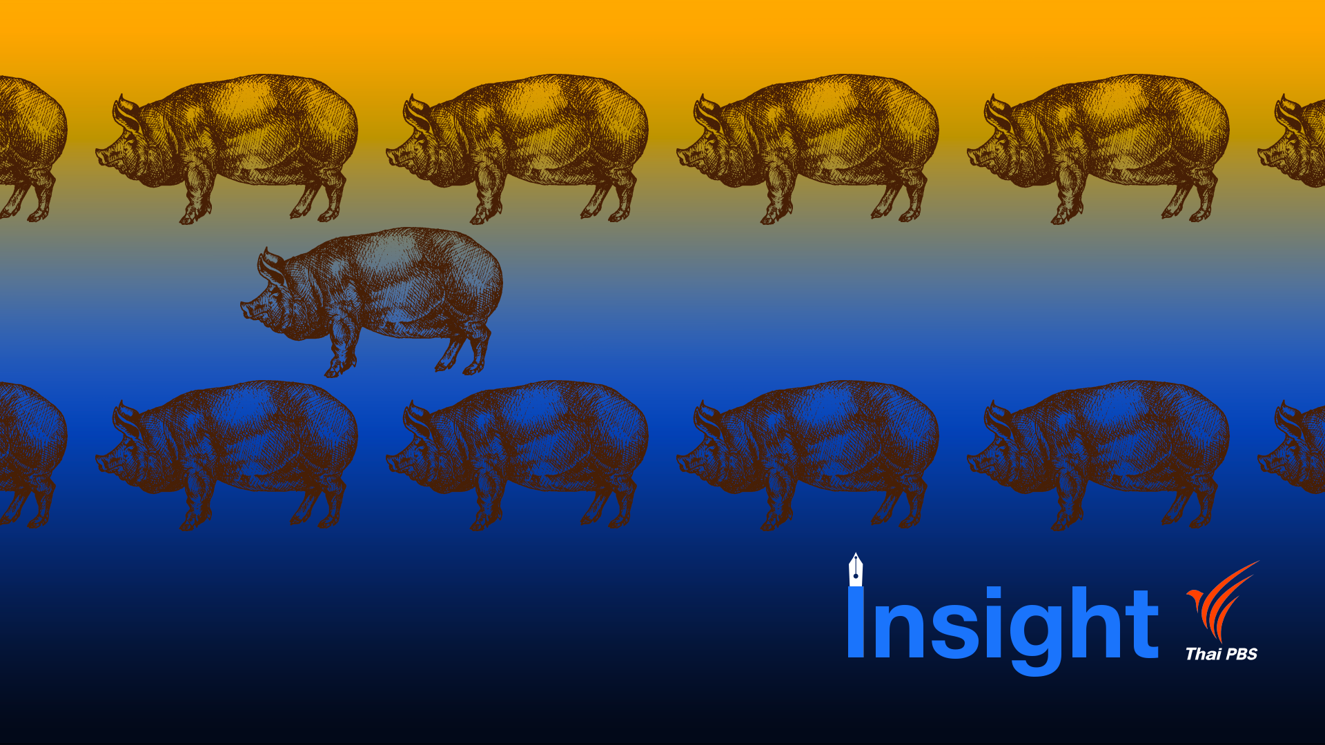 Insight : How many of you?