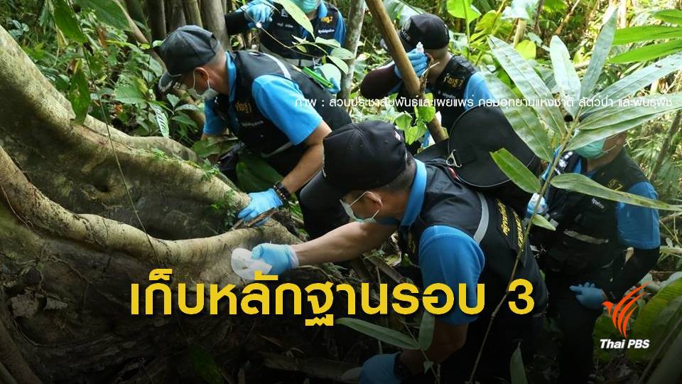 ตร.-ตรวจจุดเกิดเหตุ "ล่าหมีขอ" เก็บหลักฐานเพิ่ม