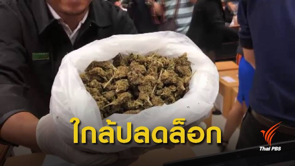 อย.จ่อเสนอแก้ประกาศให้กัญชาเป็นยาเสพติด ประเภท 2