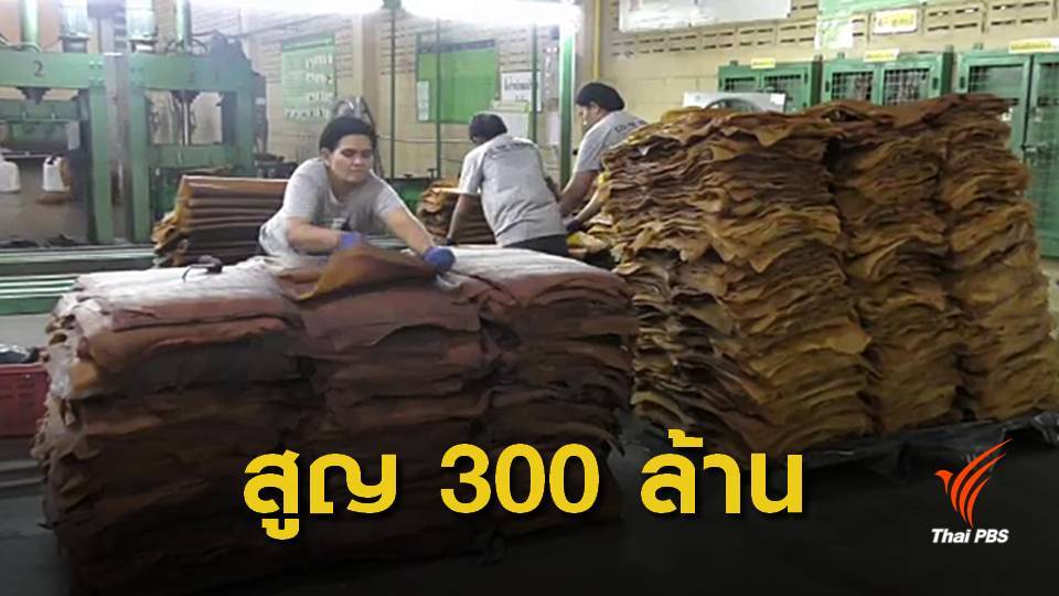 ไล่ออก! ผจก.ชุมนุมสหกรณ์ตรัง ยักยอกเงิน 300 ล้าน