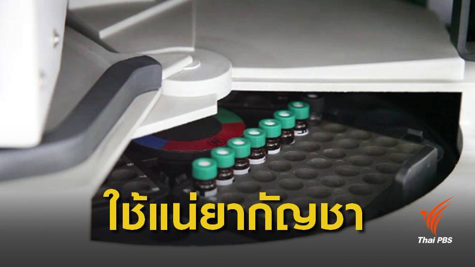 ม.ค.ปี 62 ผลิตน้ำมันกัญชาหยดใต้ลิ้นล็อตแรก 4 พันขวด