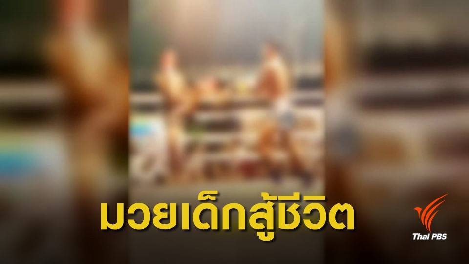 เปิดชีวิตเศร้า 170 ไฟต์ "เพชรมงคล" ก่อนสิ้นใจในวัย 13 ปี