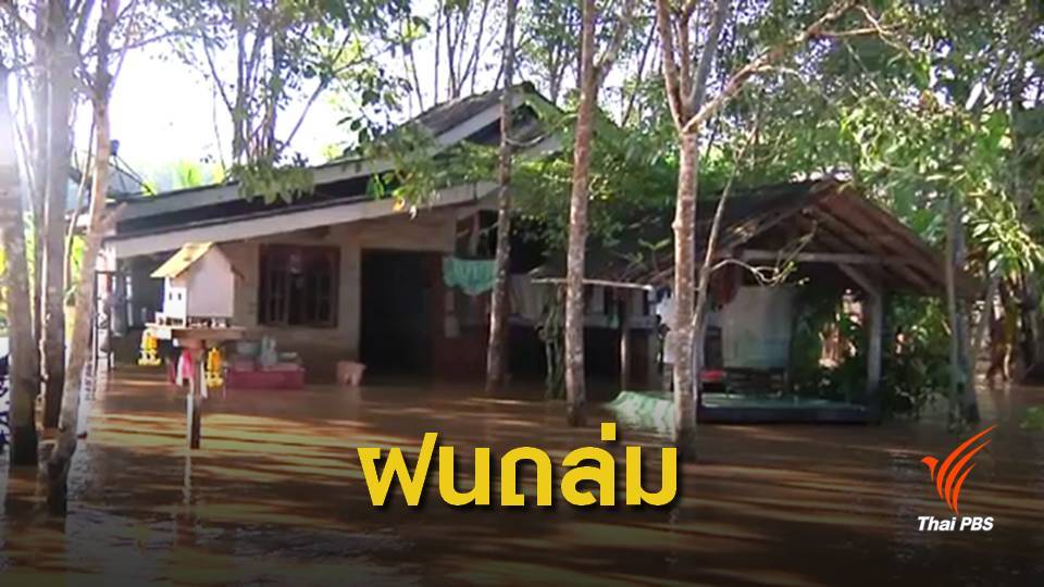 พิษ "โทราจี" ฝนถล่ม อ.นบพิตำ วันเดียว 397 มิลลิเมตร
