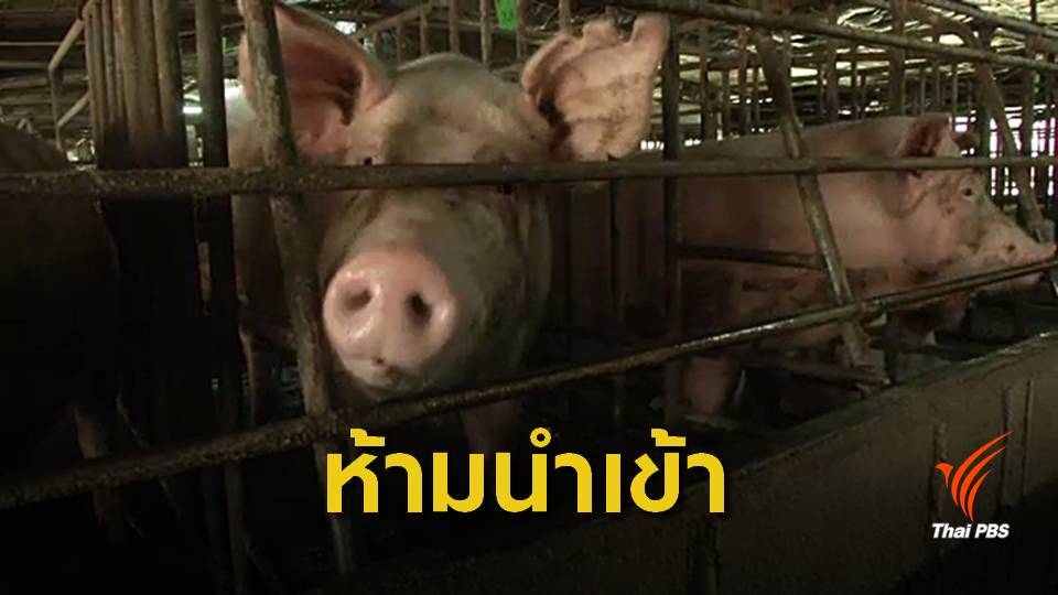 สกัดโรคอหิวาต์สุกร คุมเข้มห้ามนำผลิตภัณฑ์แปรรูปหมูจีน