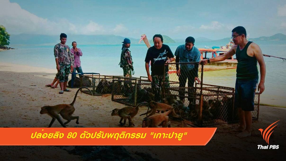 ประเดิมส่งลิง 80 ตัวปรับพฤติกรรม "เกาะปายู" ภูเก็ต