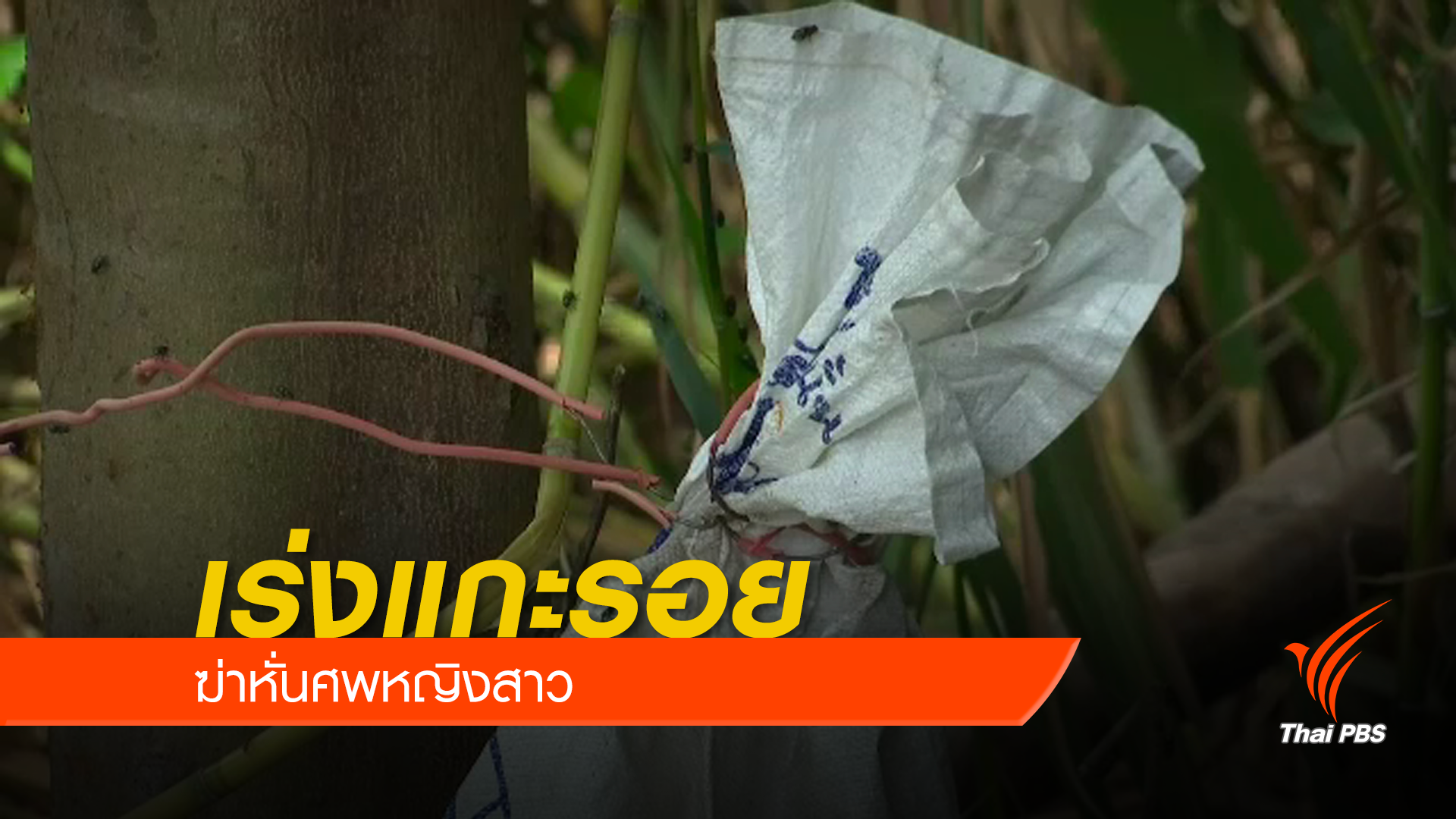 ตำรวจเร่งแกะรอยหญิงสาวถูก "ฆ่าหั่นศพ" ย่านมีนบุรี