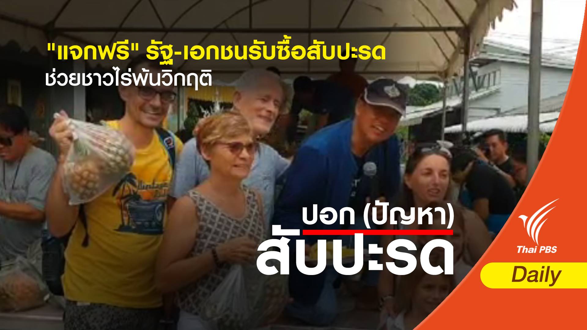 "แจกฟรี" รัฐ-เอกชนรับซื้อสับปะรดช่วยชาวไร่พ้นวิกฤติ