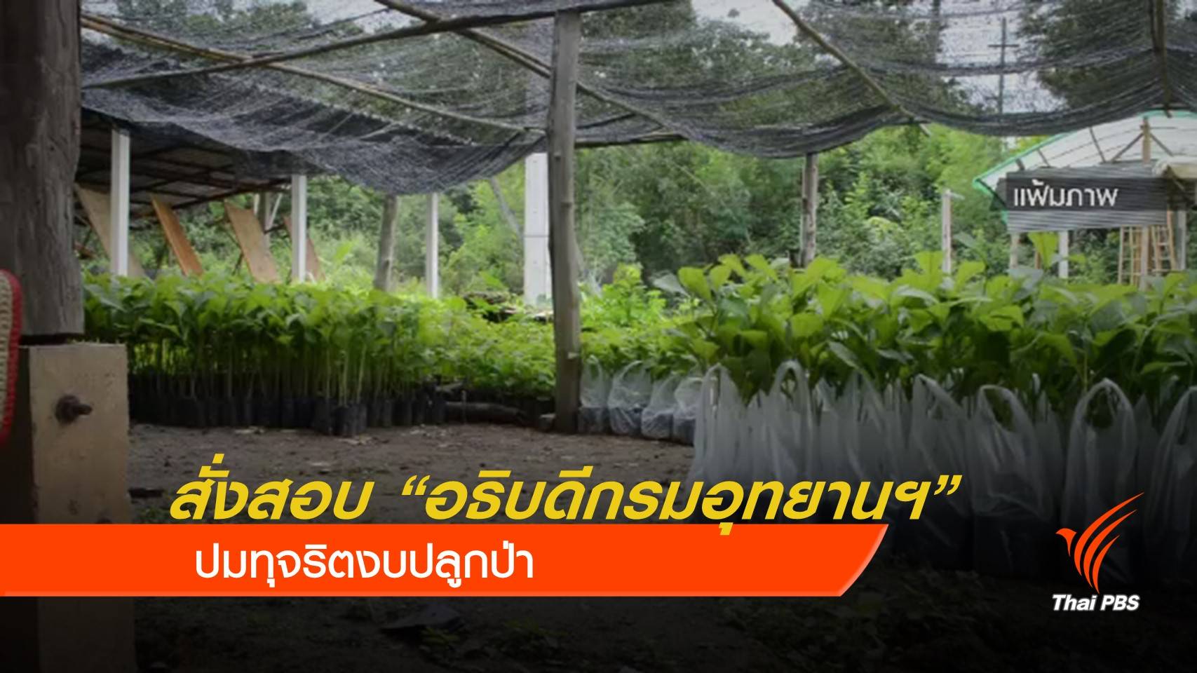 ทส.สั่งสอบ "อธิบดีกรมอุทยานฯ" ปมทุจริตงบปลูกป่า