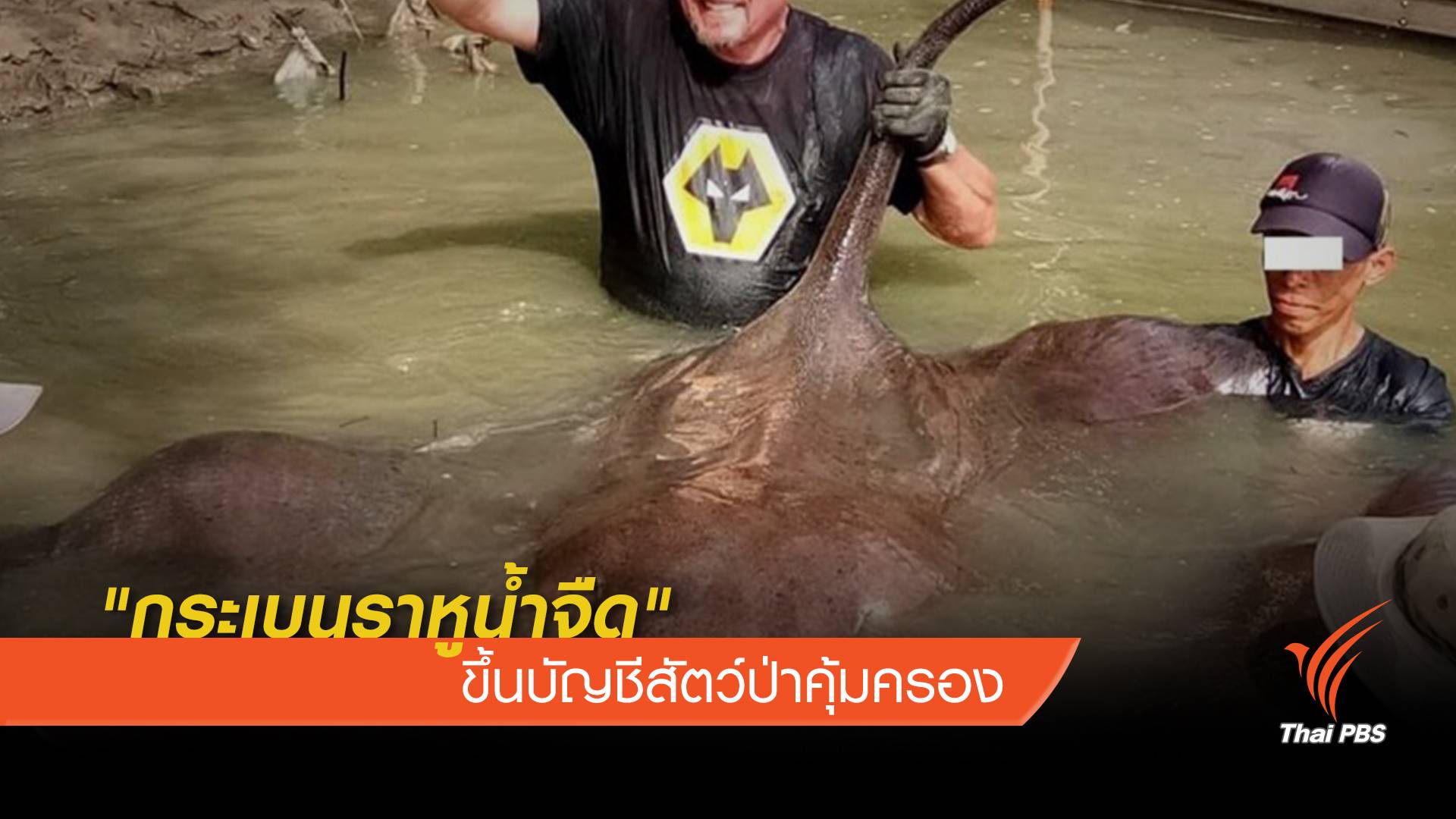 เพิ่ม "ปลา 12 ชนิด" เข้าบัญชีสัตว์ป่าคุ้มครอง