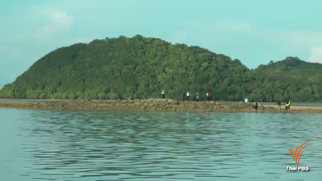 ผู้ว่าฯภูเก็ต ยันยังไม่มีการก่อสร้างท่าเรือมารีน่า