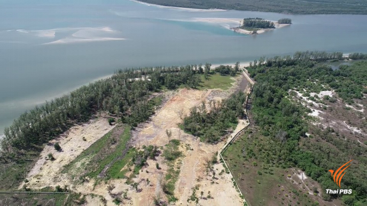 ทช.บุกตรวจบริษัทยาชื่อดังรุกป่า "เกาะลันตา" 50 ไร่