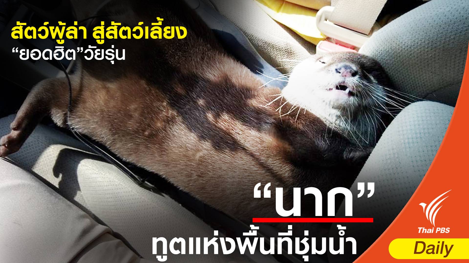 สัตว์ผู้ล่า สู่สัตว์เลี้ยง "ยอดฮิต" ขวัญใจวัยรุ่น