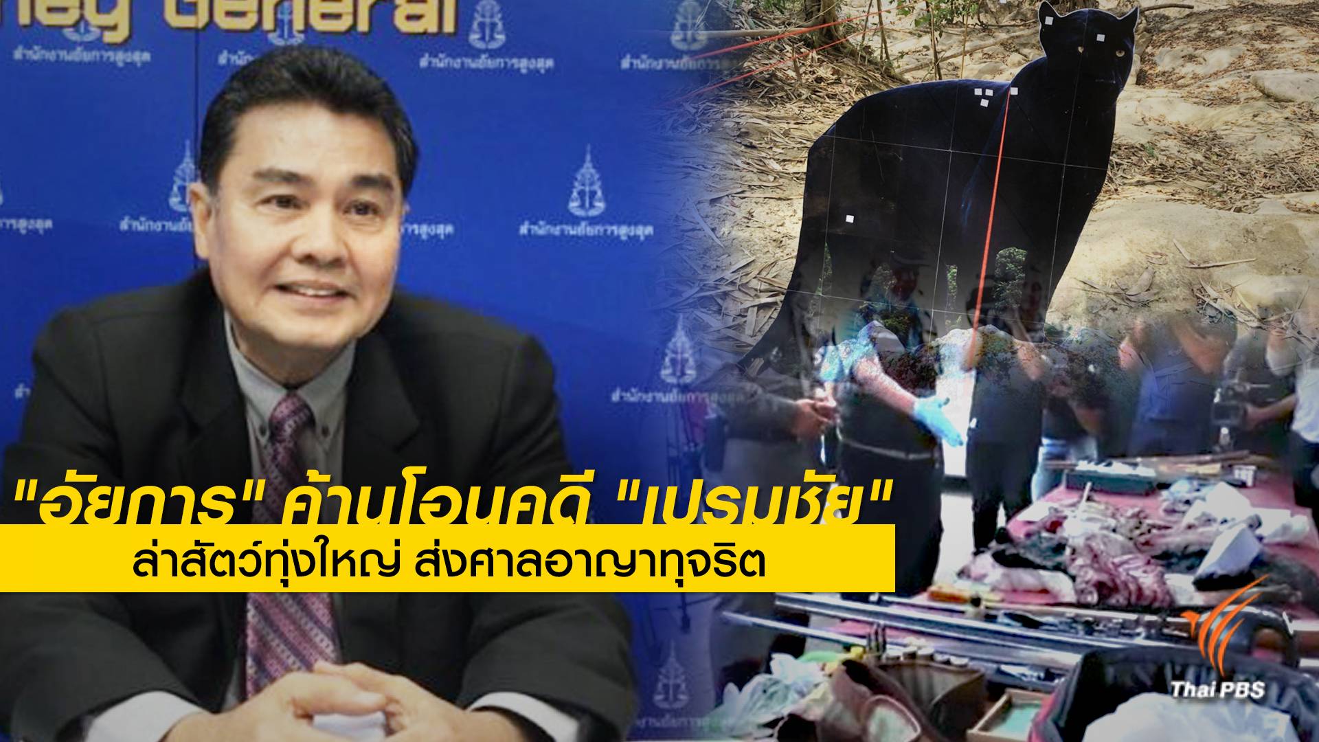"อัยการ"ค้านโอนคดี "เปรมชัย" ล่าสัตว์ทุ่งใหญ่ ส่งศาลอาญาทุจริต