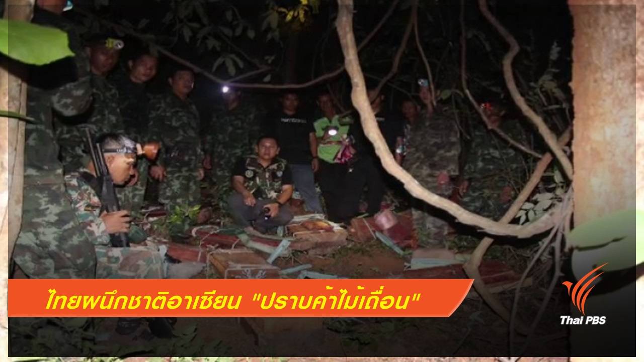 ไทยผนึกชาติอาเซียน "ปราบค้าไม้เถื่อน"