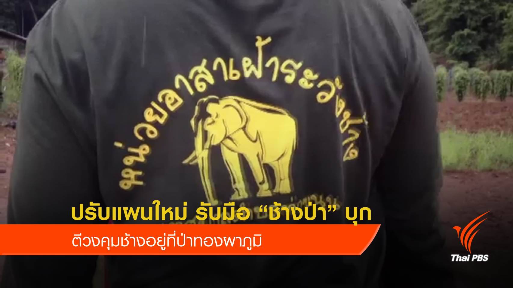 ปรับแผนใหม่ รับมือ “ช้างป่า” บุก - ตีวงคุมช้างอยู่ที่ป่าทองผาภูมิ
