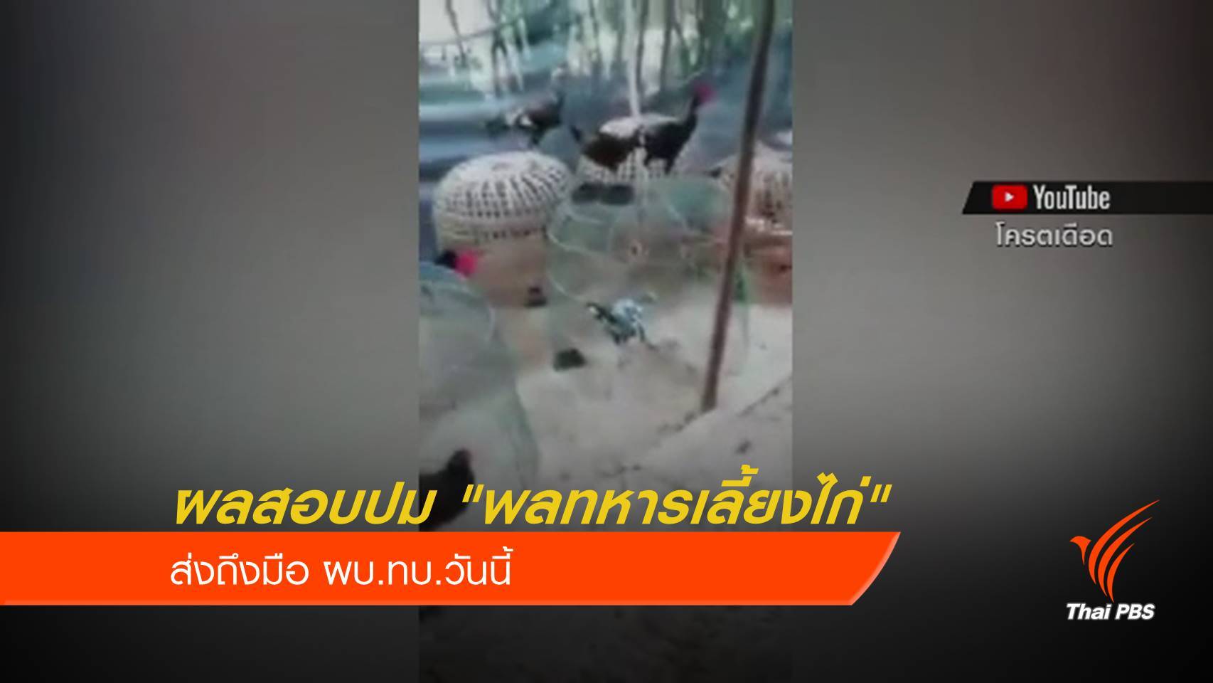 ผลสอบปมนายสั่ง "พลทหารเลี้ยงไก่" ถึงมือ ผบ.ทบ.วันนี้