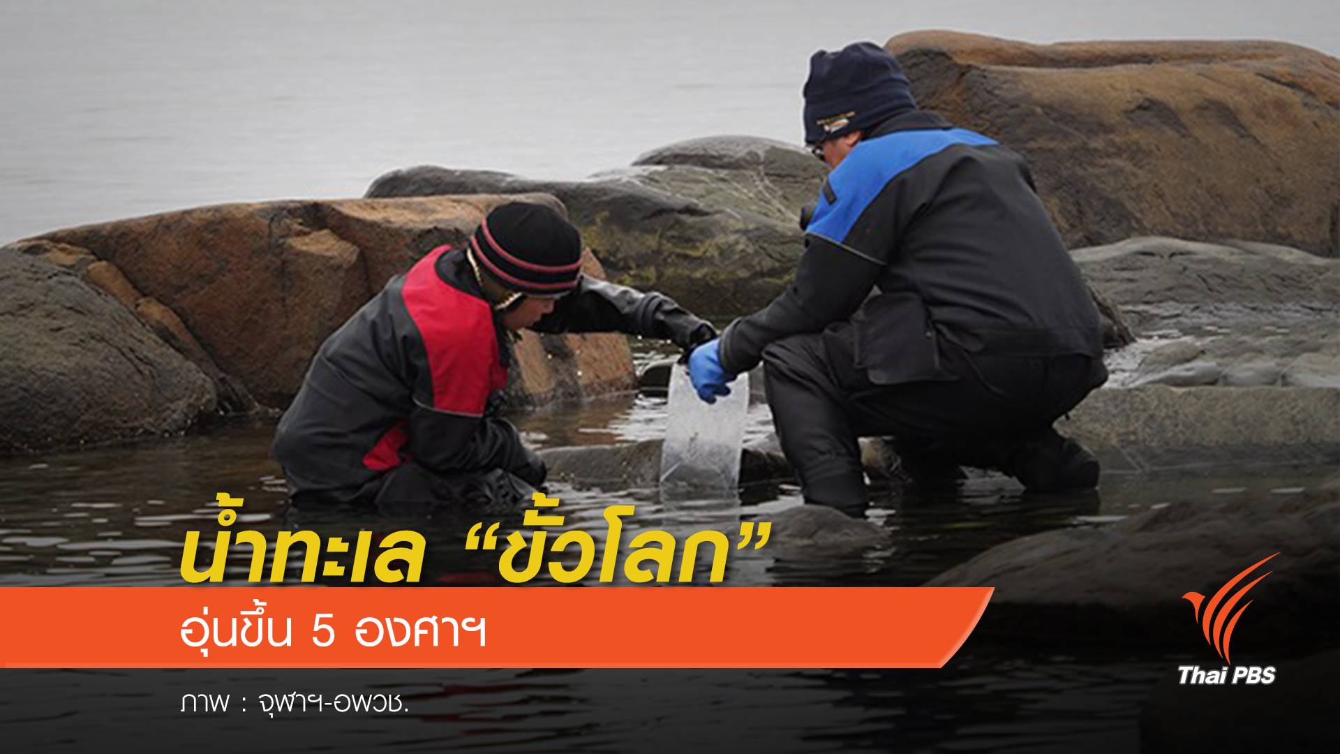 นักวิจัยไทย พบน้ำทะเล "ขั้วโลกเหนือ" อุ่นขึ้น 5 องศาฯ