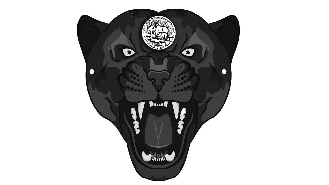 ม.พะเยา จัดแคมเปญ "หน้ากากเสือดำ" สะท้อนสูญสัตว์ป่า