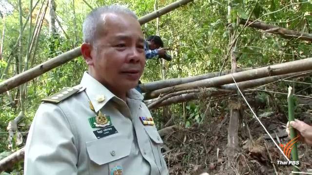 อธิบดีกรมอุทยานฯ ลั่นไม่ต่อรอง "เปรมชัย" ล่าสัตว์ป่าทุ่งใหญ่