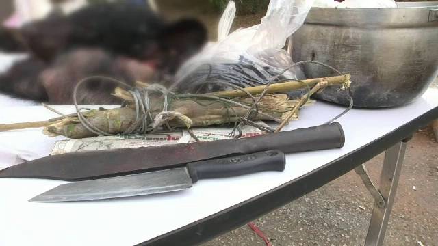 รวบหนุ่มชำแหละซากหมีควายเตรียมขาย อ้างติดบ่วงตายเอง