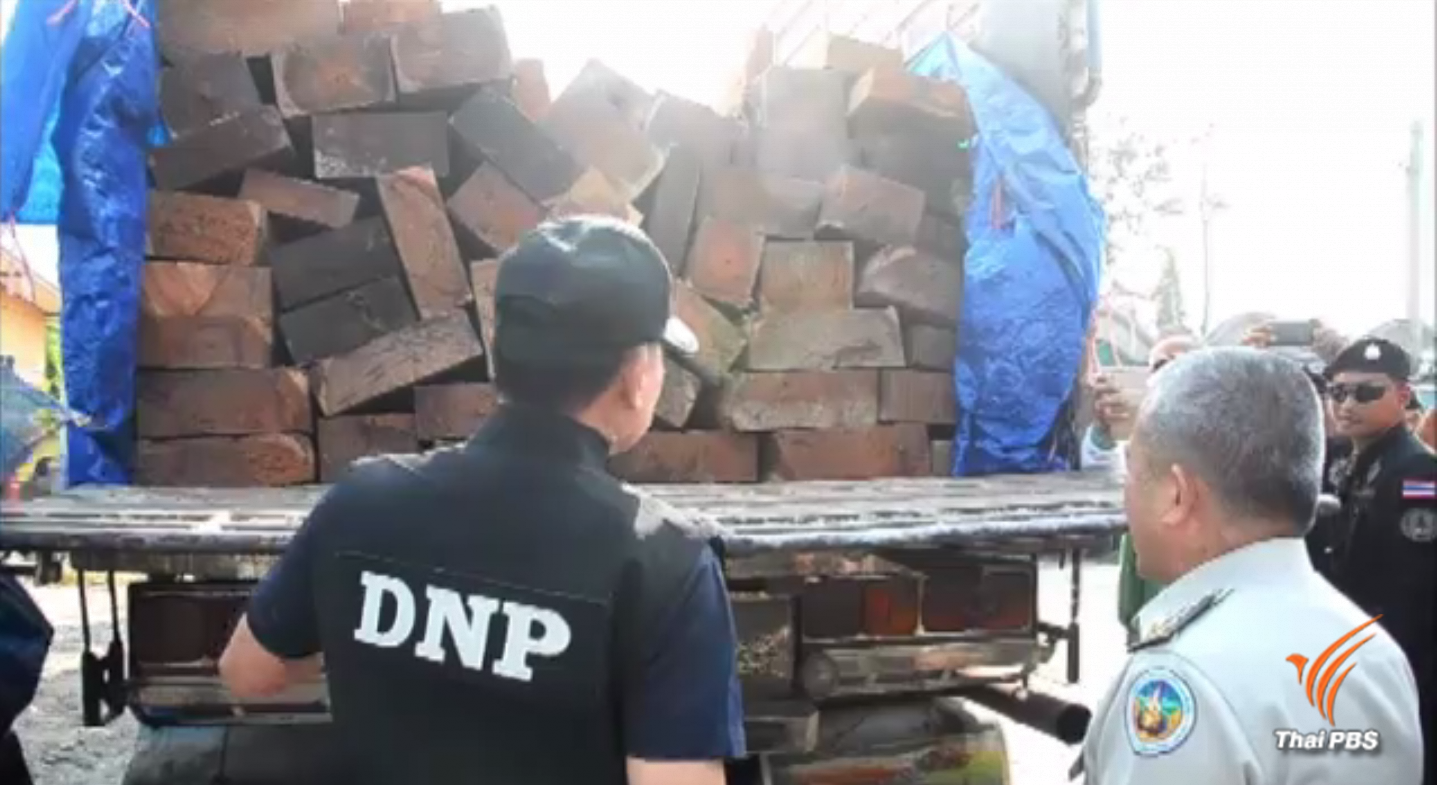 ยึดไม้หวงห้ามกว่า 100 ท่อน เตรียมส่งต่างประเทศ