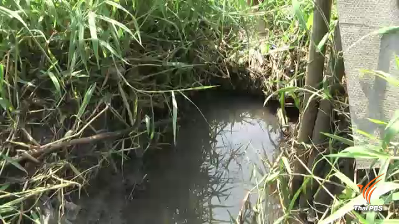 ร้องโรงงานนม อ.ปากช่อง ปล่อยน้ำเสียลงแหล่งน้ำ