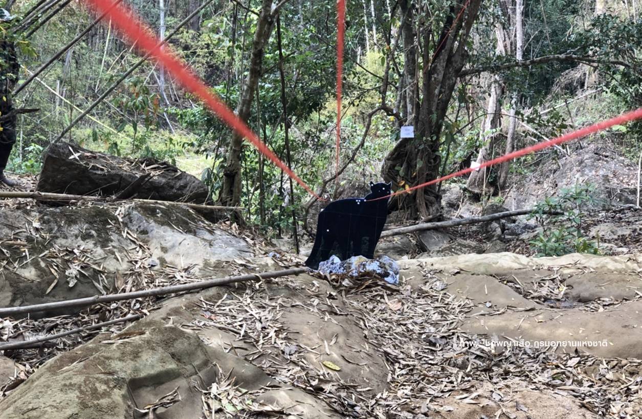 28 ก.พ.ถกด่วนคณะทำงานเกาะติดคดี "เปรมชัย" ล่าสัตว์ป่าทุ่งใหญ่