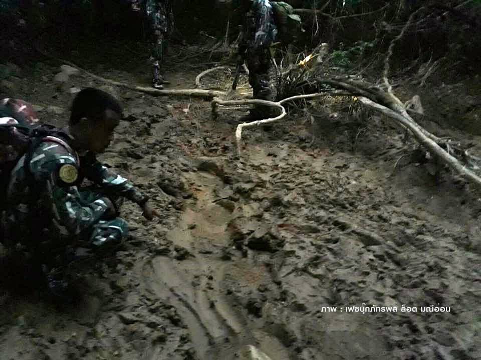 พบร่องรอย "ช้างป่า" ถูกรถชนลากขายาว 2 กม.คาดขาหลังอาจหัก 