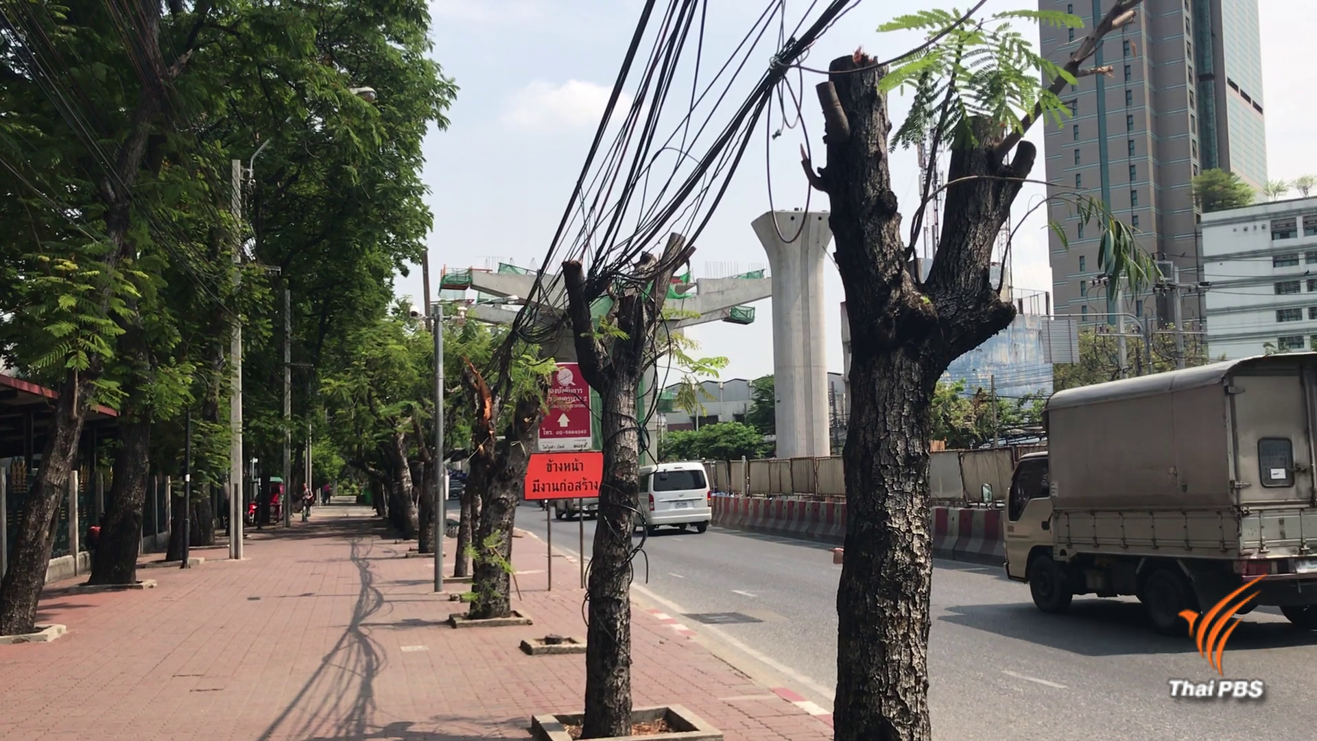 อิตาเลียนไทย ระบุ ตัดต้นไม้ เหตุเร่งสร้างสะพานข้าม – พร้อมจ่ายค่าเสียหาย  