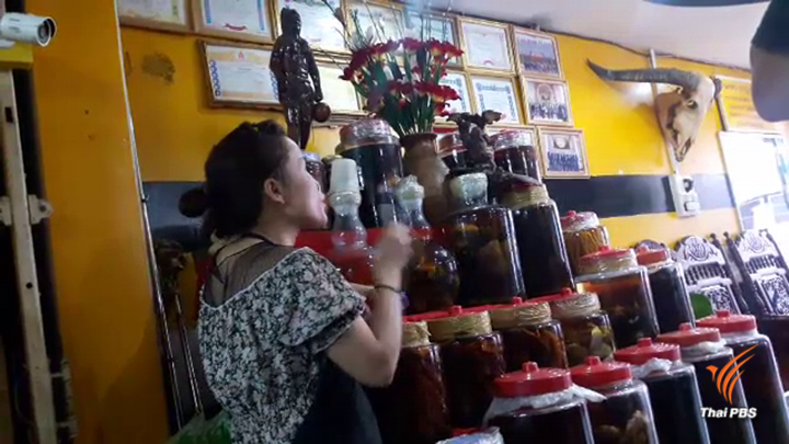 รู้จัก "กระดูกเสือดองเหล้า" ของกำนัลผู้มีอำนาจ