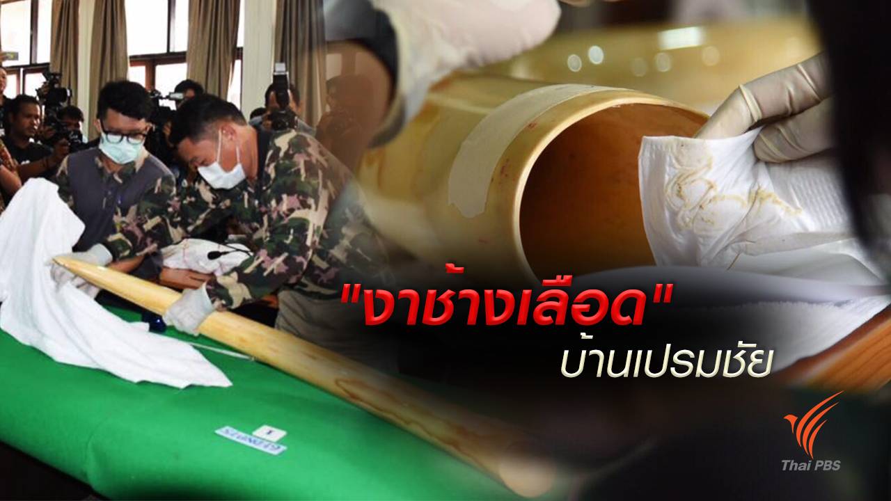 1 เดือน ชี้ขาด "งาช้างแอฟริกา" บ้านเปรมชัย