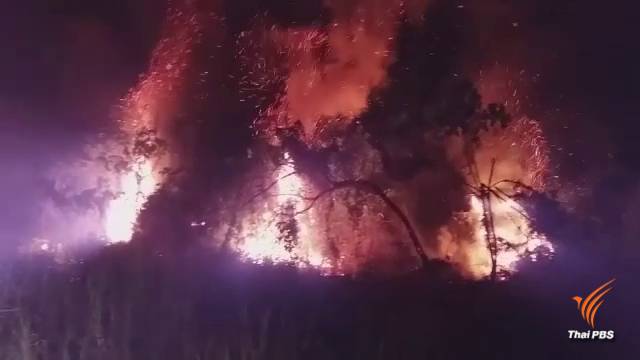 ไฟไหม้ป่าพรุกว่า 30 ไร่ จ.พังงา คุมเพลิงได้แล้ว 