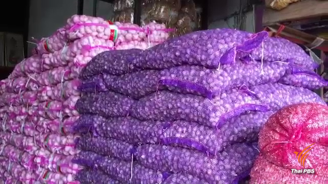 ก.พาณิชย์สุ่มตรวจกระเทียมป้องกันกระเทียมนอกตีตลาด