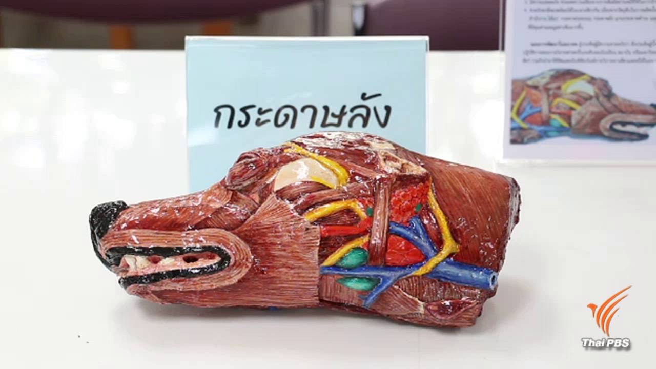 สัตวแพทย์จุฬาฯ ผลิตหัวสุนัขจำลองสอนนิสิต
