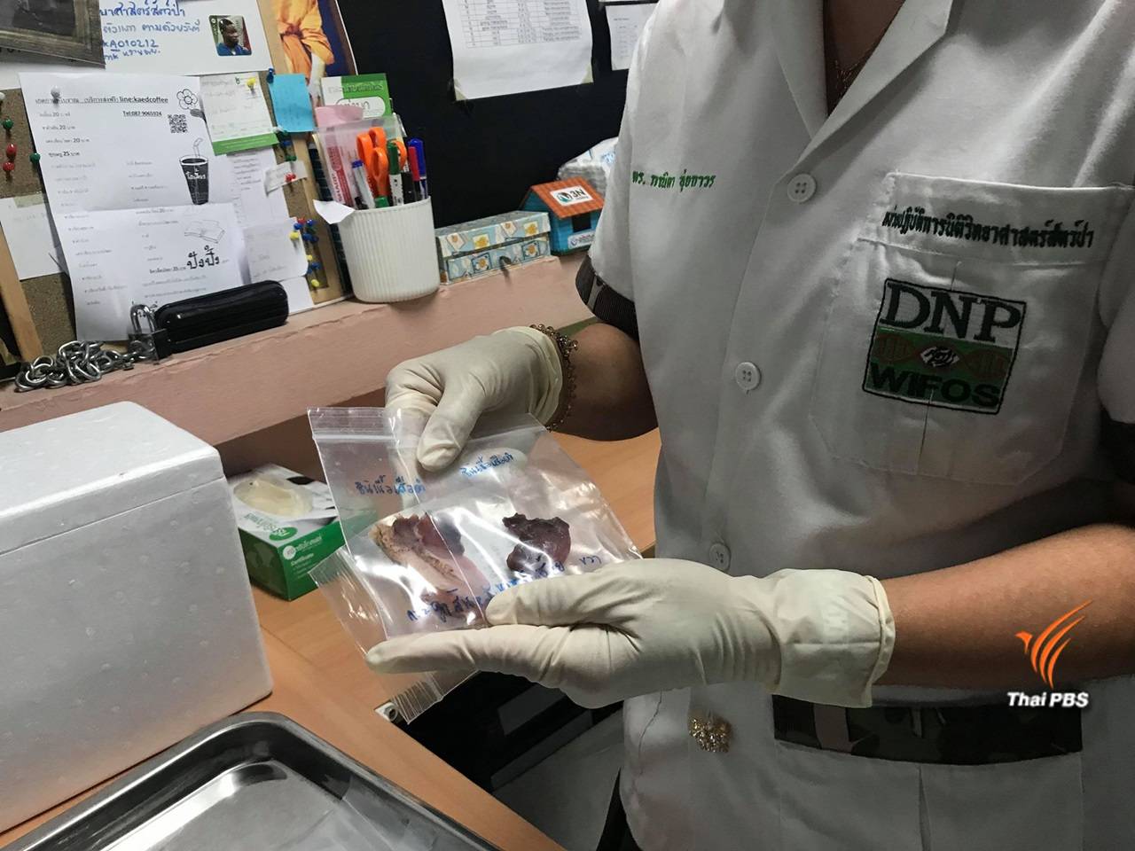 ผลนิติฯสัตว์ป่า "คดีเปรมชัย" ชุดสุดท้ายเสร็จสมบูรณ์ 100%