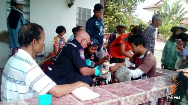 หมูป่าคุ้มคลั่งขย้ำยายวัย 79 สาหัส