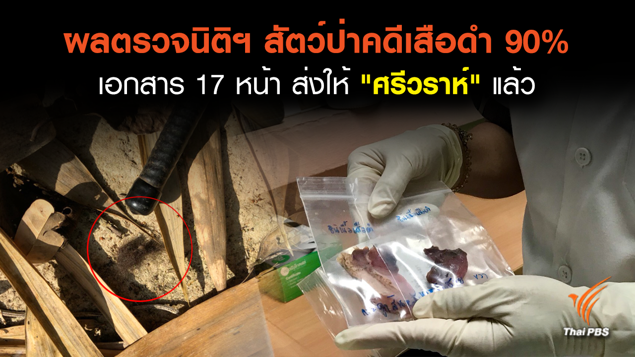 กรมอุทยานฯ ยืนยันส่งผลนิติฯ สัตว์ป่าถึง "ศรีวราห์"