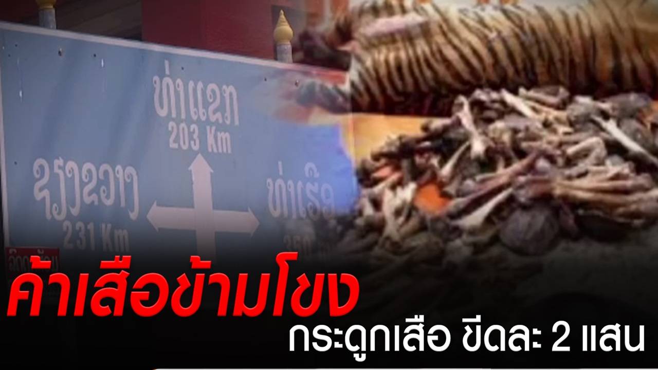 เปิดชื่อ "นายทุน" สั่งเสือโคร่งข้ามชาติ