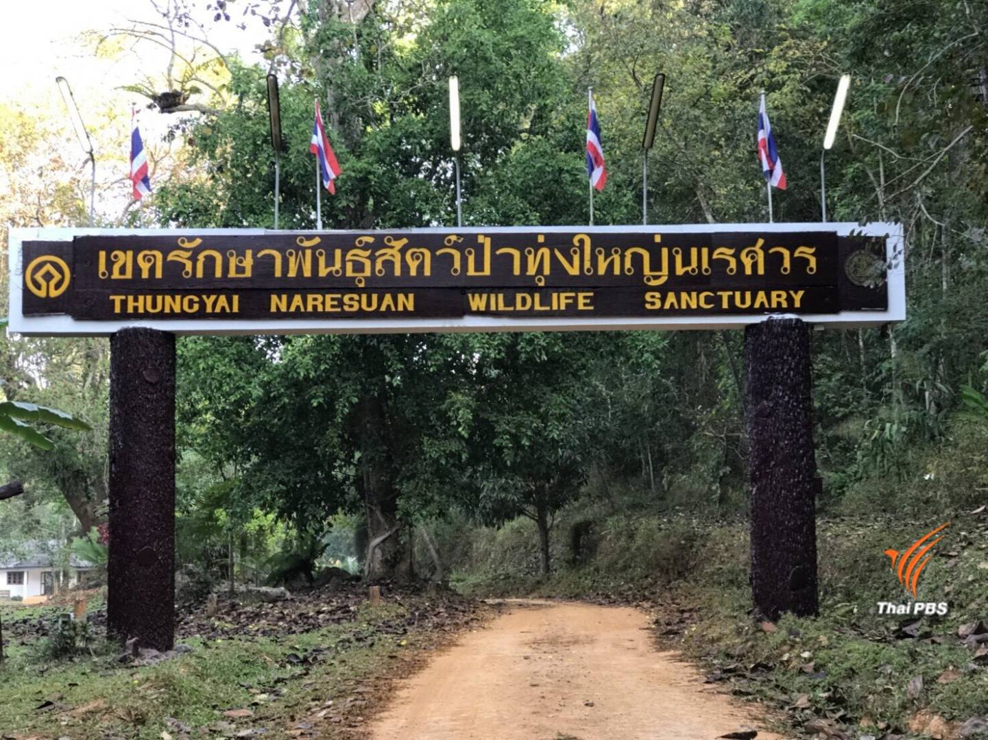 เคาะตัวเลขใหม่ 12.7 ล้านบาทค่าเสียหายระบบนิเวศทุ่งใหญ่