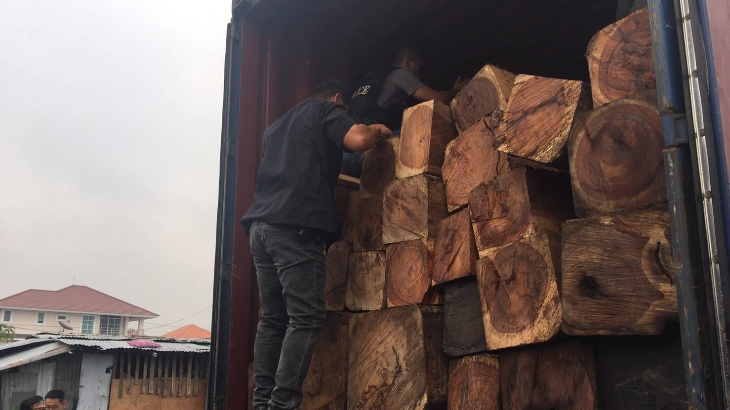 แกะรอยยึด ไม้ชิงชัน-ประดู่ ซุกตู้คอนเทนเนอร์ เตรียมส่งนอก