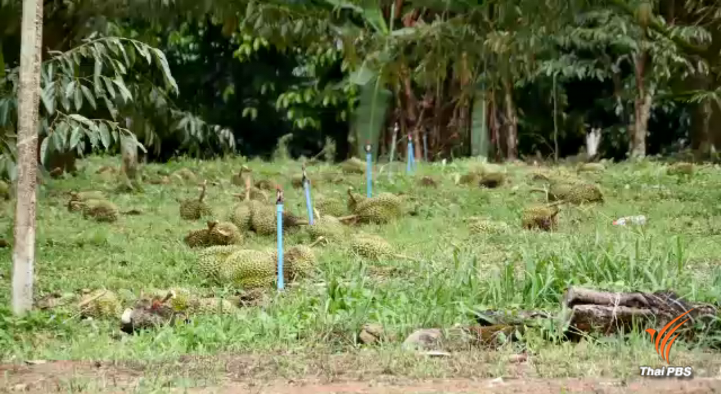 ปภ.เตือนทั่วประเทศเตรียมรับมือพายุฝนอีกระลอกวันนี้