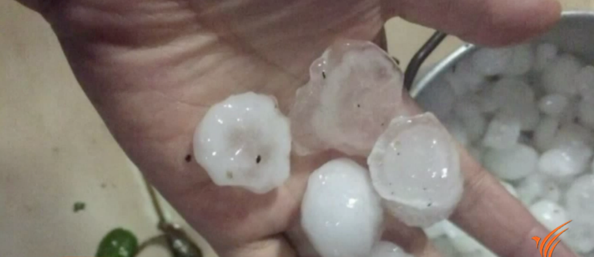 "ลูกเห็บ" มาจากไหน?